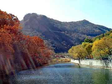 新澳天天开奖资料大全旅游团，减震缓冲胶